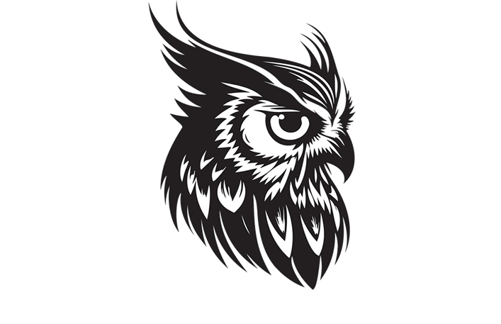 Seguridad CCTV Cancun